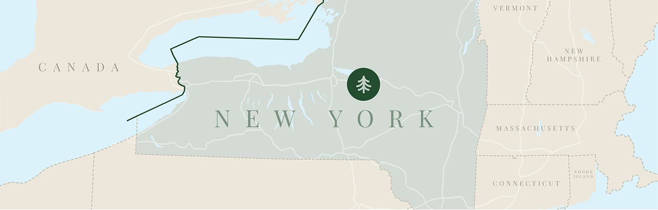 Map of NY state