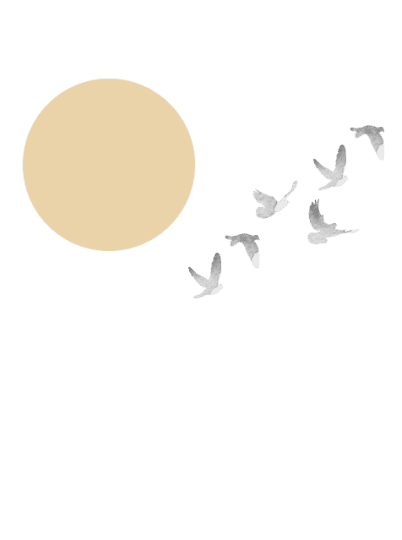 Image Sun Wrapper